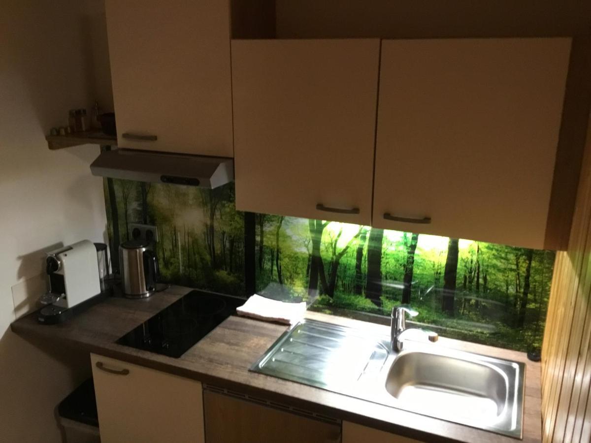 Ferienwohnungen Aigner Haus im Ennstal Extérieur photo